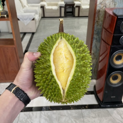 深圳D197马来西亚猫山王