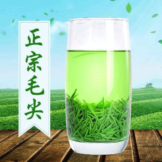 毛尖茶
