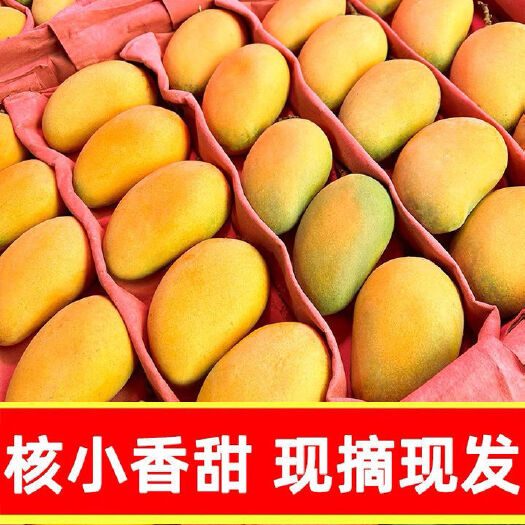 文成县【超甜】芒果小台农装整箱新鲜水果批发小芒黄色小台芒