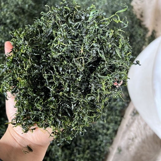 筠连县四川小叶苦丁茶