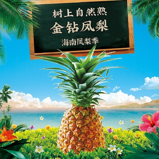 海口顺丰包邮～海南树上自然熟金钻凤梨台农17号
