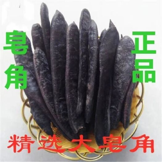 唐河县大别山上天然皂角不多了要了直接下单