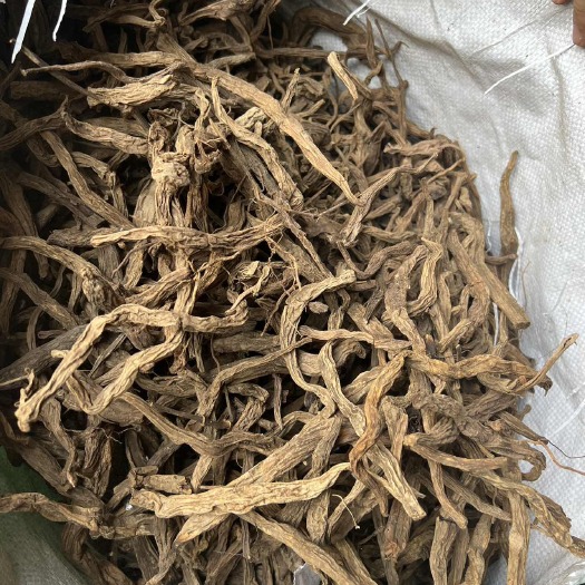 东兴市百部