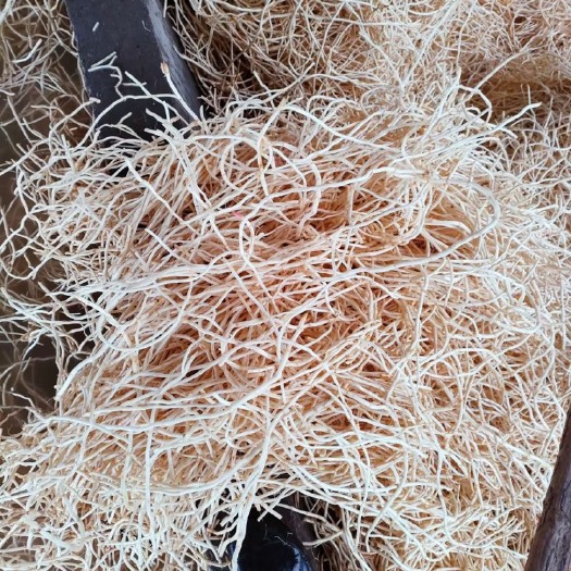 安顺白茎鱼腥草凉拌折耳根支持全国发货供应各类市场