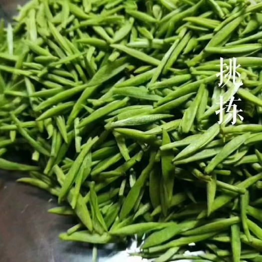 苏州东山碧螺春1克绿茶=112颗芽头一次采摘一个芽头，1斤