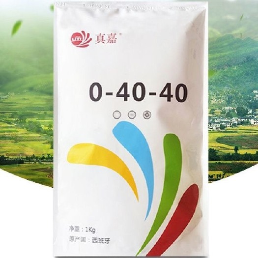 滨州真嘉0-40-40