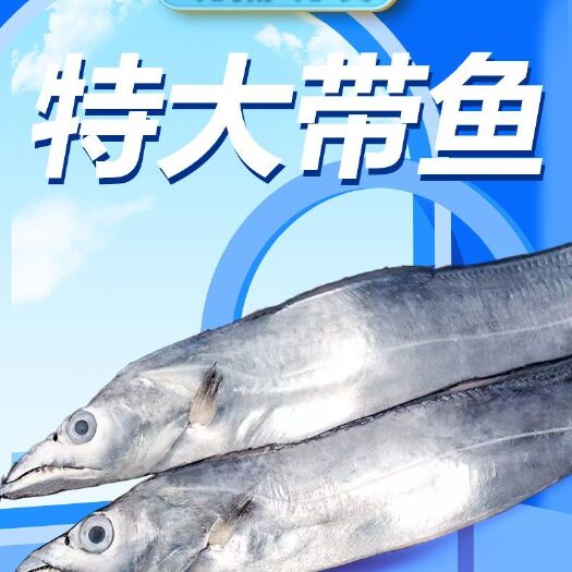 【超大】整条带鱼特大东海带鱼整条新鲜冷冻刀鱼一整箱批发海鲜