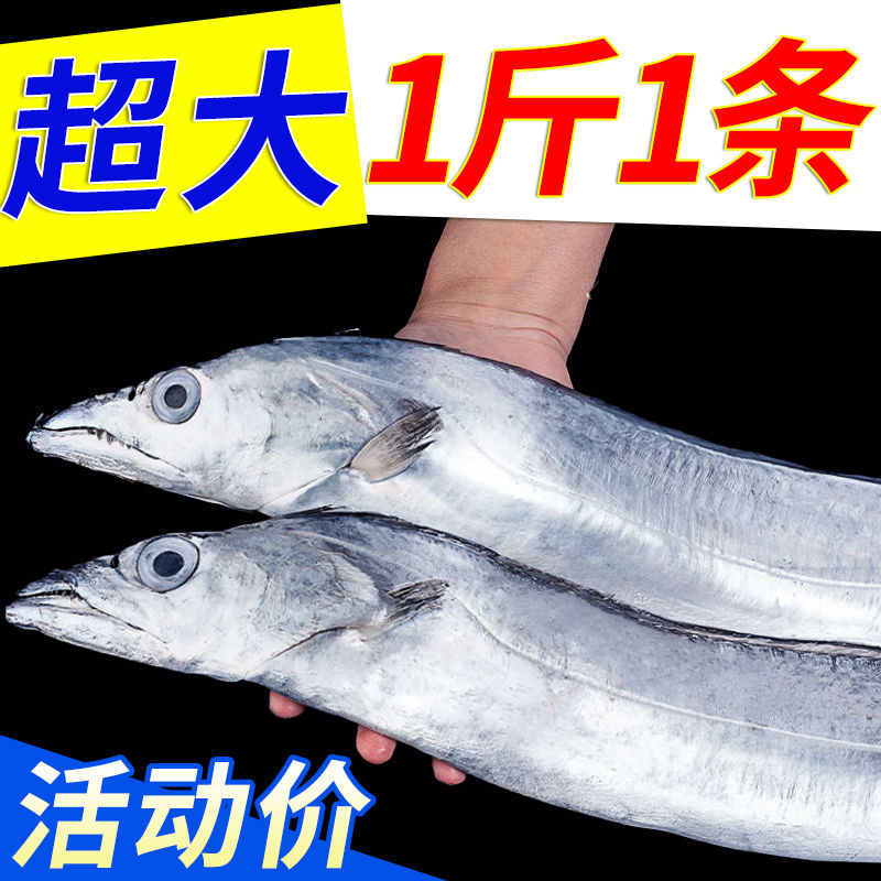 【超大】整条带鱼特大东海带鱼整条新鲜冷冻刀鱼一整箱批发海鲜