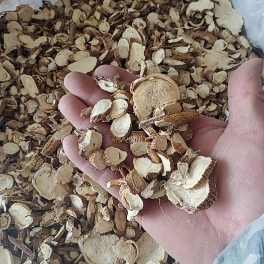 【苦参】产地河南.实物拍摄一手货源大货供应.规格齐全量大优惠