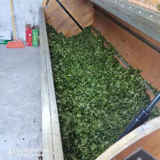 大埔县春茶上热卖中