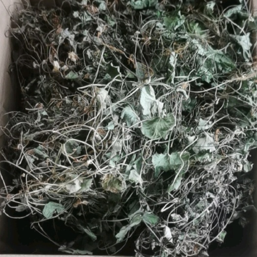 宜宾四川积雪草 雷公根 药性好 自然晒干无硫 原产地一手新货