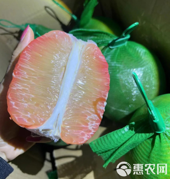 泰国红心蜜柚 翡翠柚 一件代发