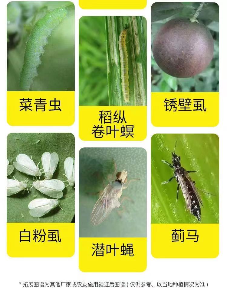 虫螨腈虱螨脲甲维盐虫螨晴虱螨尿甜菜夜蛾吊丝虫玉米螟杀虫杀卵剂