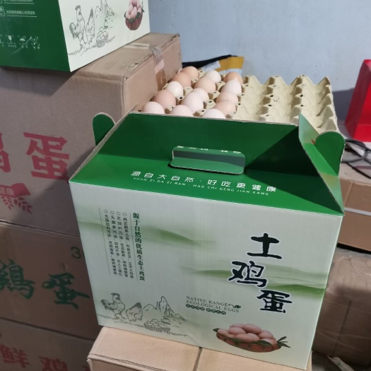 莱州市自有跑山鸡基地产跑山鸡蛋