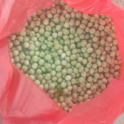 揭西县揭西县本地当季现摘豌豆夹