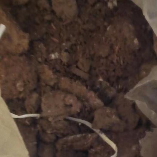 临泉县有机肥，稻壳鸡粪！