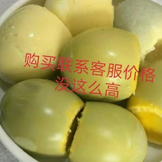 费县实蛋寡蛋孵化8天无毛毛蛋旺蛋水蛋