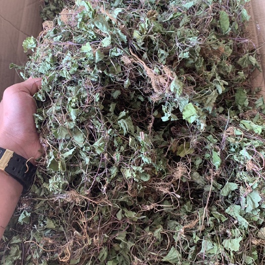 金平县马蹄菜，雷公根，积雪草云南高山采自然晒干产品