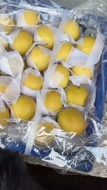 海城市海城特产南果梨，皮薄肉厚，细茬梨，口感嘎嘎甜