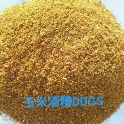 石家庄玉米酒糟