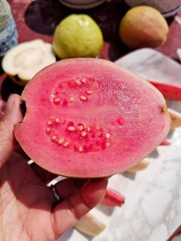 软糯红心芭乐当季新鲜番石榴现摘热带红肉水果应季一箱也是批发价