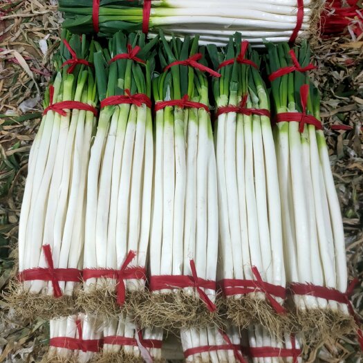 南阳钢葱长白大葱西安货产地直发一手货源