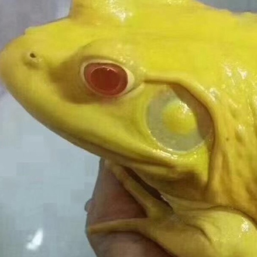 源头直销