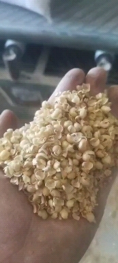 东明县大豆皮适合鸡鸭鹅猪牛羊养殖使用