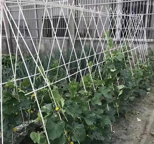 郑州玻璃纤维 黄瓜 西红柿 辣椒 豆角定植杆爬藤架
