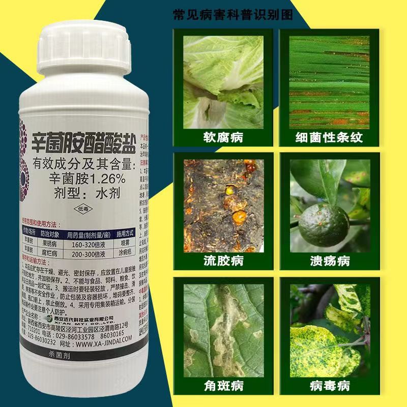 辛菌胺醋酸盐辛菌安穿孔流胶溃疡病细菌农药果树蔬菜杀菌剂农药