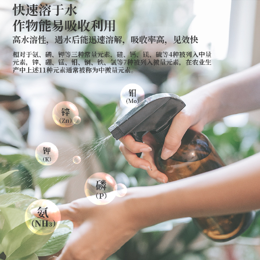 长沙豪万稼豪实粒小麦水稻专用增产套餐三遍可抗低温分蘖增产量包邮