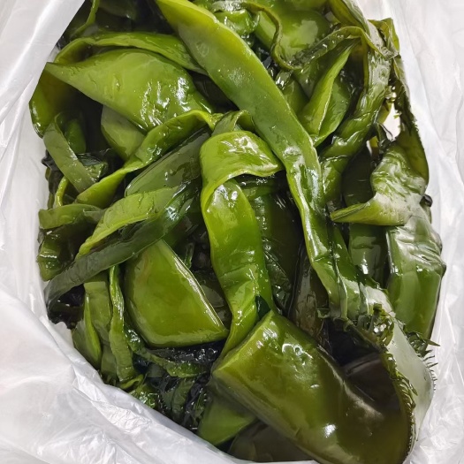 大连大连盐渍海菜梗毛重五斤