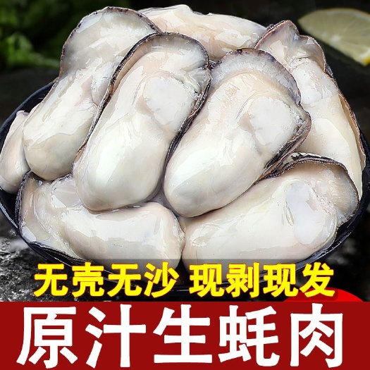 连云港【冷链运输】冰鲜生蚝肉鲜活剥去壳海鲜原浆海蛎子牡蛎肉三倍体