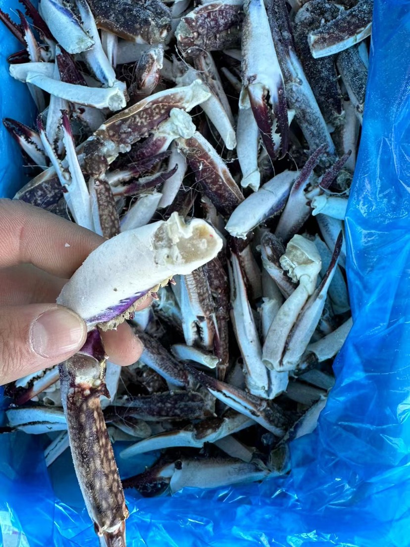 梭子蟹脚捞汁蟹钳深海海鲜鲜活冷冻蟹钳饱满梭子蟹腿大螃蟹脚
