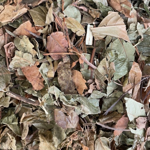 葫芦茶 批发零售中药材 一斤起发  新货 量大从优 一件代发