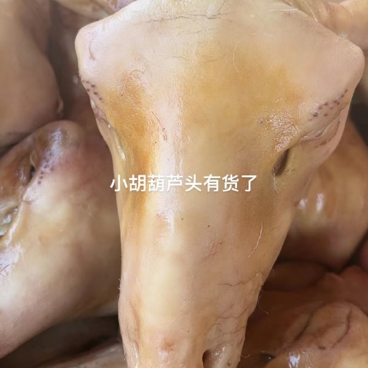 羊头 火烧羊头/水煺羊头 工厂发货 不同规格都有货 卤煮食材