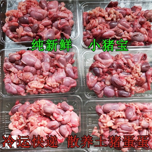 灵璧县猪卵子  猪肉类  猪睾丸  小猪蛋   货