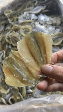 长沙多味黄线鱼，产地直销，量大价优，可熟食可烧烤