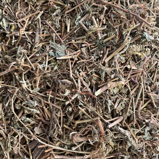 玉林飞扬草 批发零售中药材 一斤起发  新货 量大从优 一件代发