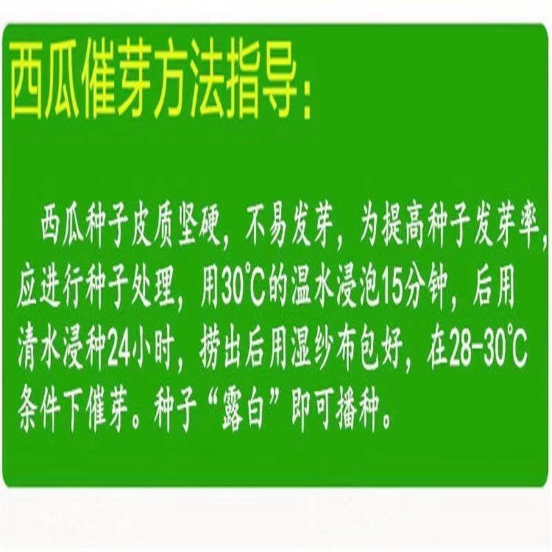 特大無籽西瓜超甜皮薄肉多早熟抗病黑皮無籽特大西瓜水果種子