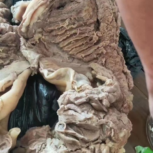 济南蒙古国 去皮熟羊肉