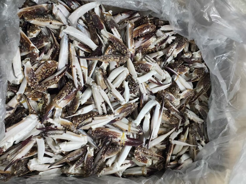 梭子蟹脚捞汁蟹钳深海海鲜鲜活冷冻蟹钳饱满梭子蟹腿大螃蟹脚