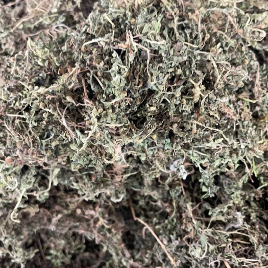 鹅不食草 批发零售中药材 一斤起发  新货 量大从优 一件代