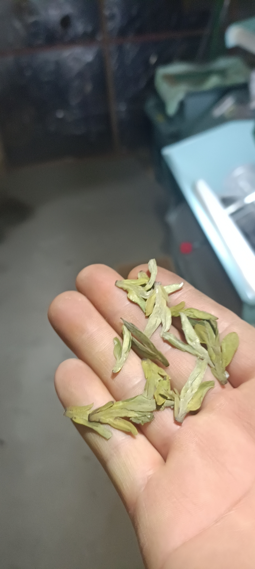 自己种的茶叶，自己炒，自己卖