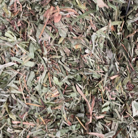 玉林凤尾草 批发零售中药材 一斤起发  新货 量大从优 一件代发