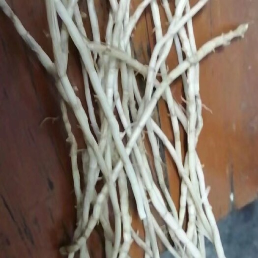 罗定市靓白茅根