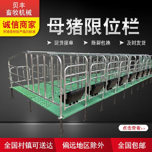 长沙供应母猪定位栏限位栏隔离栏复合漏粪板批发零售