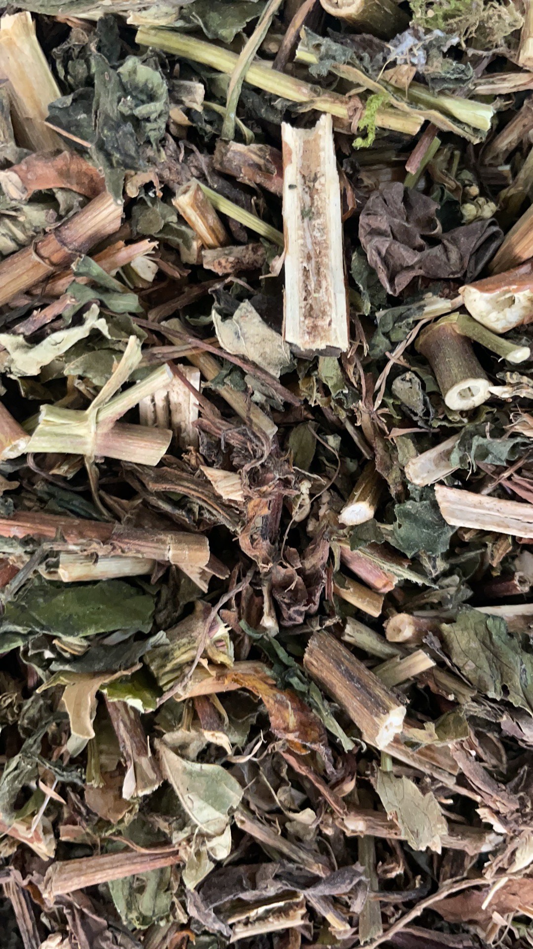败酱草 批发零售中药材 一斤起发  新货 量大从优 一件代发