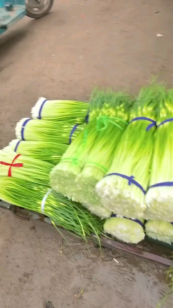 产地直销，头茬白帽蒜薹大量上市，质量保证价格美丽