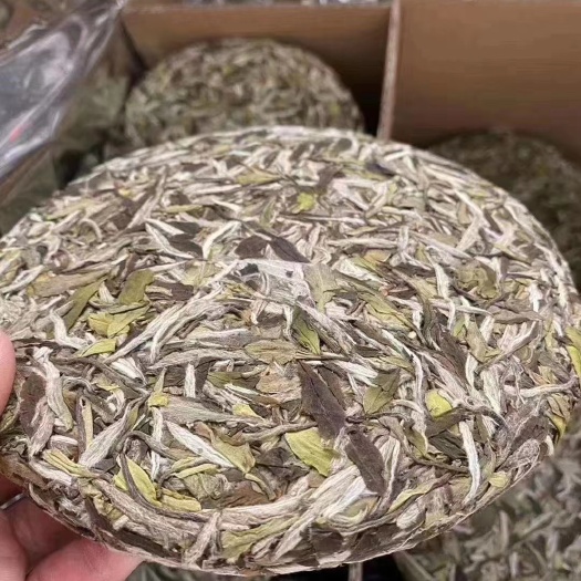 福安市2022牡丹王白茶饼